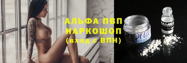 СК Абдулино